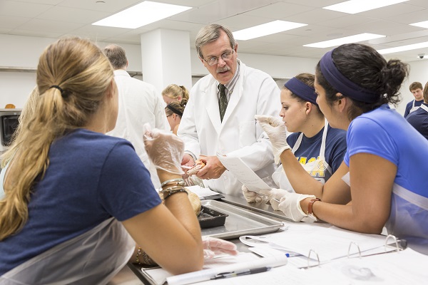 A faculty member teaching students in the Anatomy Lab